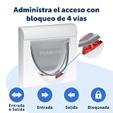 Ver la foto 4