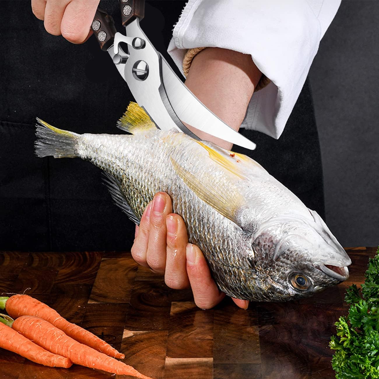 best fish cutting scissors best fish cutting scissors