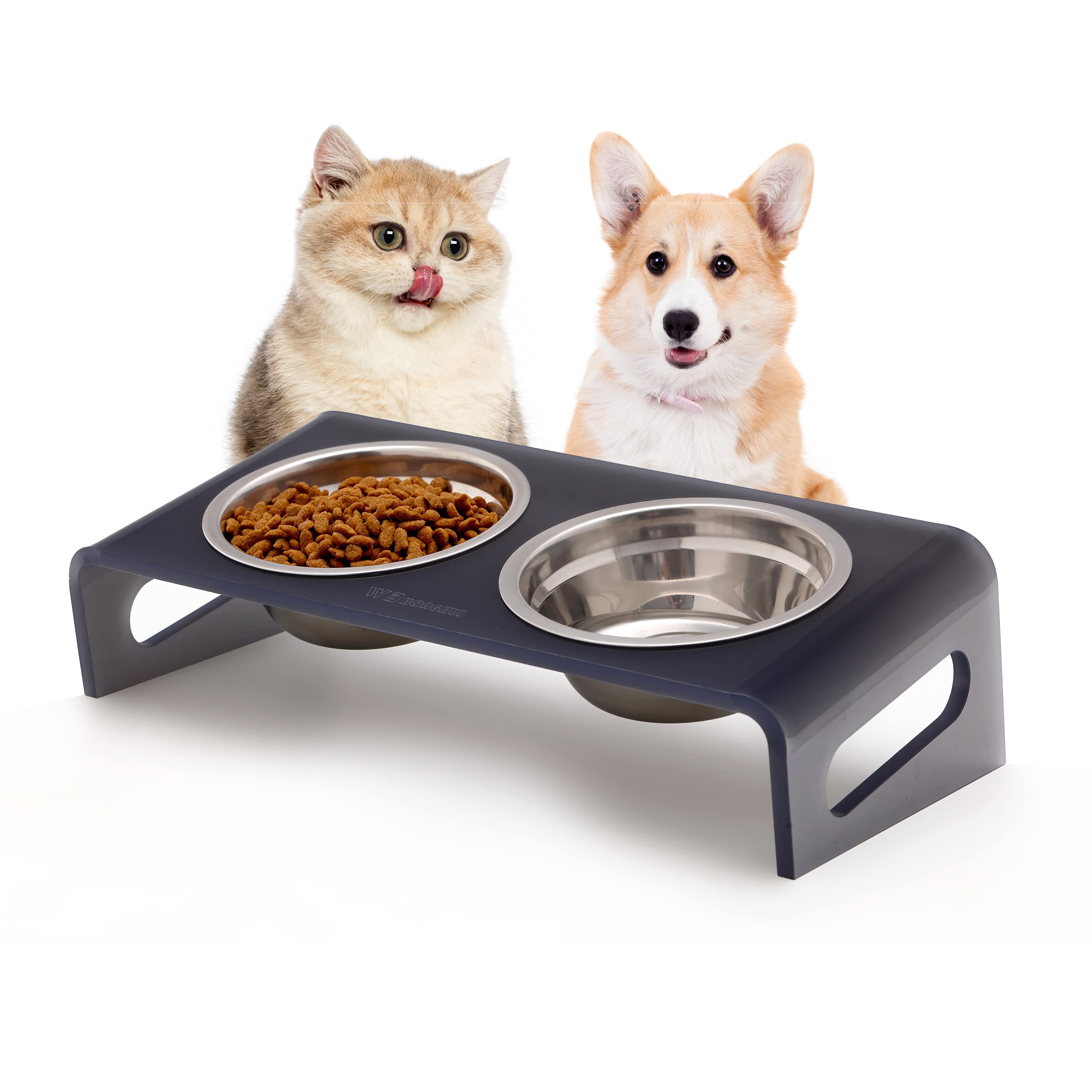 Tilted Raised Elevated Food and Water Bowls Stand for Cat or Small Dogs - Puppy's Clear Acrylic Stainless Steel Dishes Holder for Boy or Girl Pet,