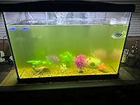 Review Image by Kayla Kayla