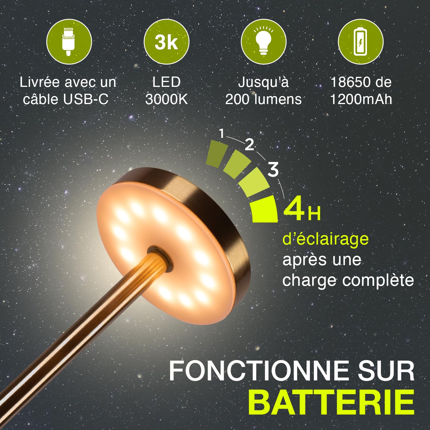 CATAVANA-Lot de 2 Lampes de table sans fil - Rechargeables LED pour Intérieur/Extérieur - Cable USB-C - Lampe Tactile avec Variateur - Design en Métal - Marque Française - Gold