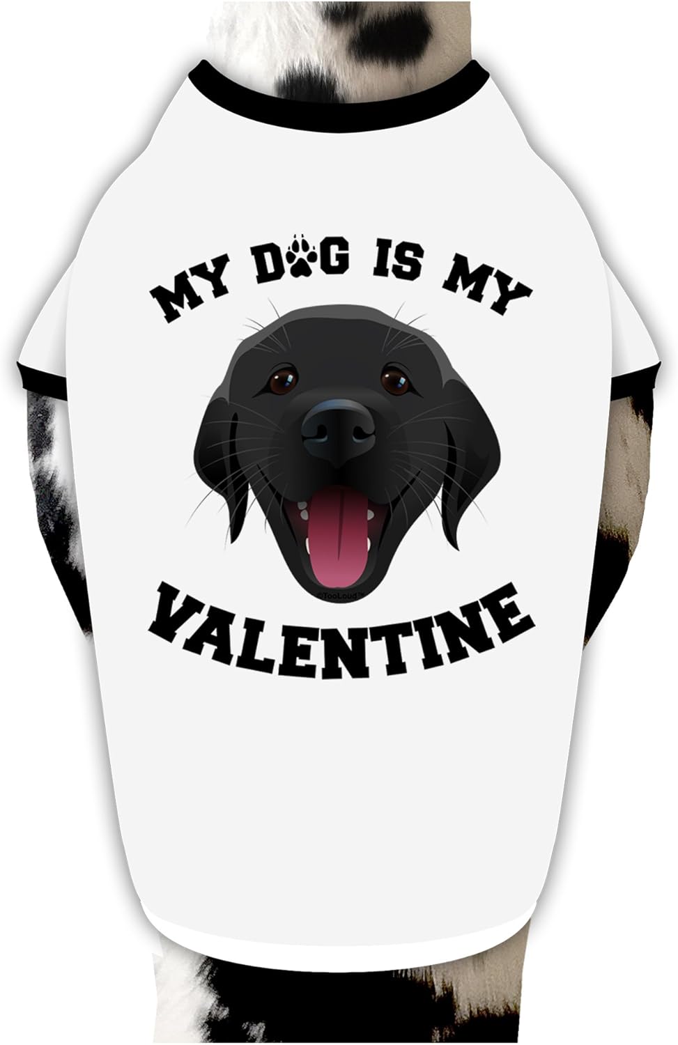 TOOLOUD My Dog is My Valentine Black Cotton Dog Shirt White with Black XL