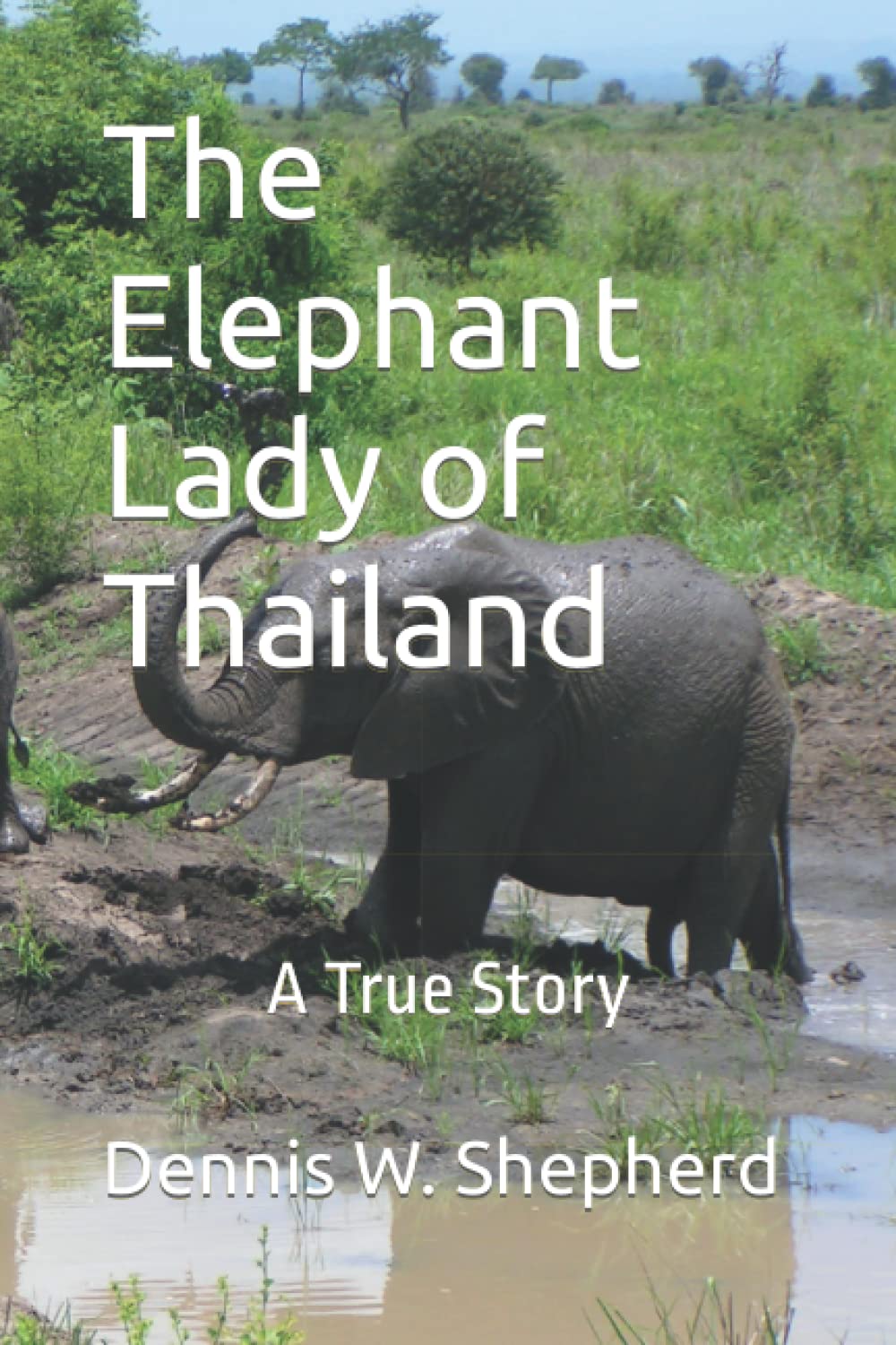 The Elephant Lady of Thailand: A True Story