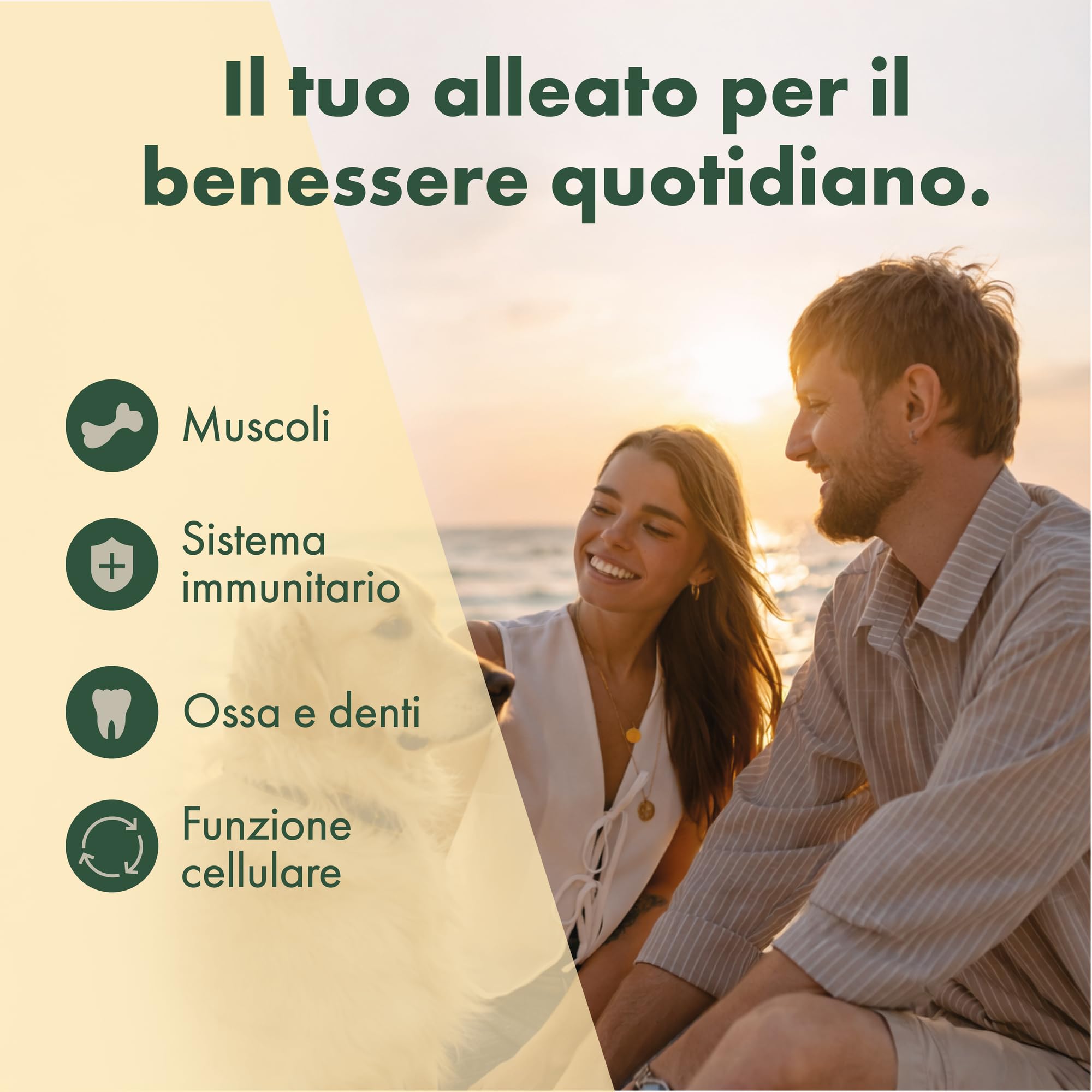 Vitamina D3 2000 UI Gocce – 15 ml (525 Gocce) con Olio di Cocco MCT – Formula in Olio Liquido – Per Adulti – Prodotto in Germania – Integratore Alimentare