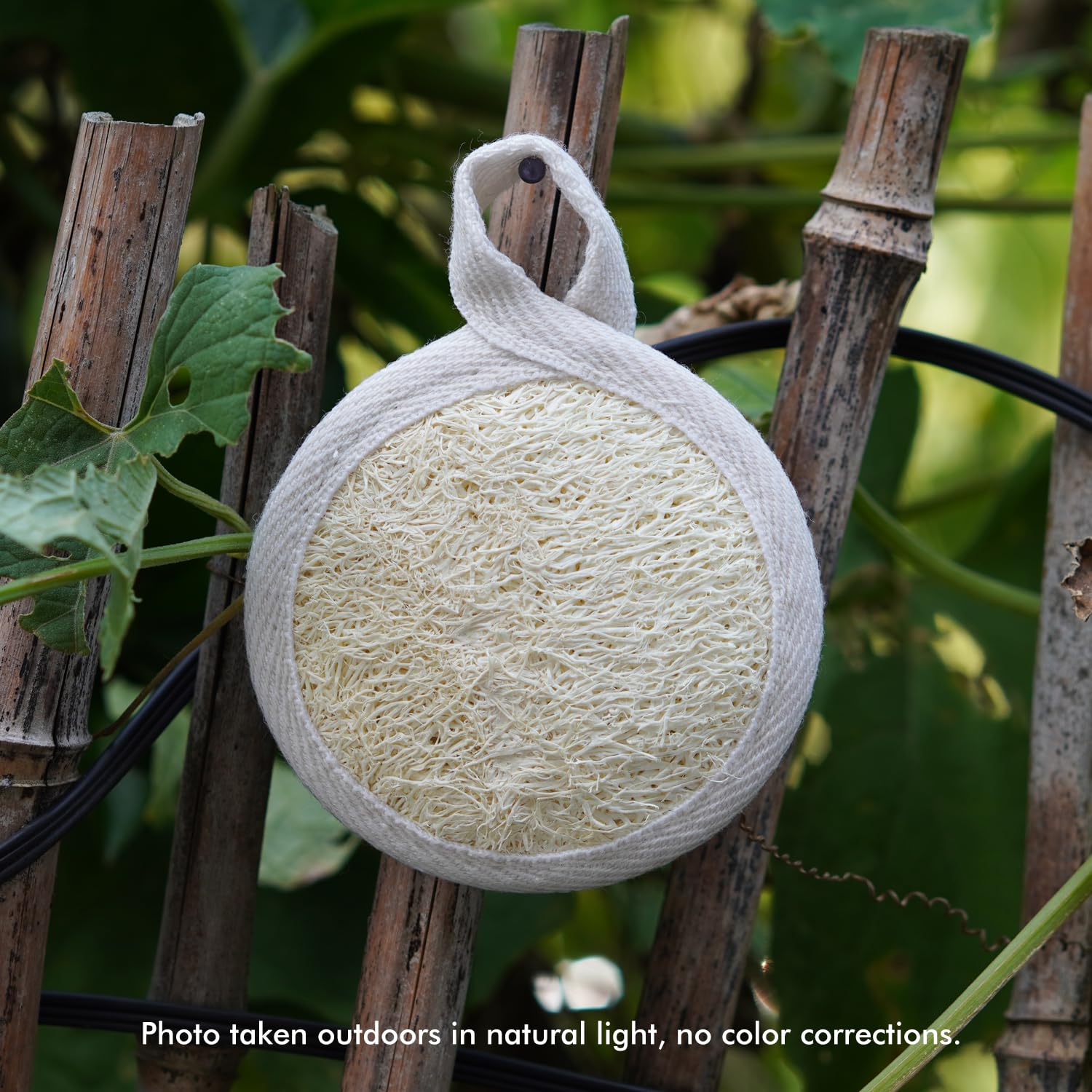 Spugna esfoliante per il viso in luffa naturale, 12 pezzi, spugna organica per la pulizia del corpo, 8 cm, esfoliante per il viso, spazzola e massaggiatore, per uomini e donne, pelle liscia e luminosa