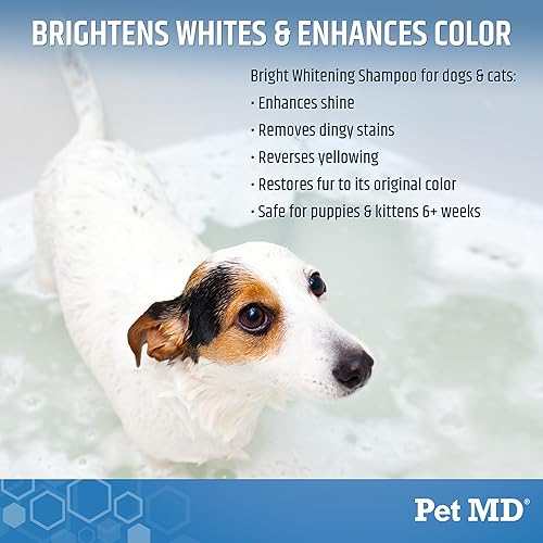 Miniatura 2 de Pet MD Bright Whitening Shampoo para perros y gatos - Champú enriquecido con proteínas sin lágrimas con avena para iluminar abrigos blancos y de