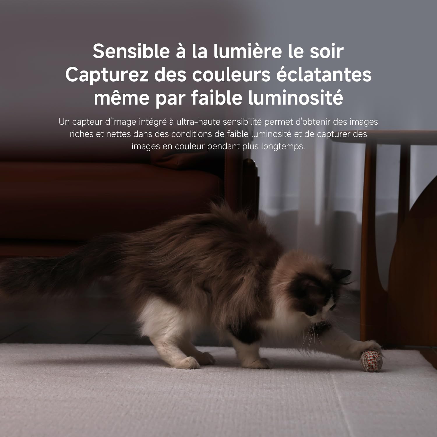 XIAOMI C500 Camera Interieur, 3,5K 6MP 360° Caméras de Surveillance, Alexa | Détection Personnes/Animaux, Suivi Auto, Couleurs Réelles En Faible Luminosité, Audio Bidirectionnel, Wi-Fi 6 2,4/5 GHz