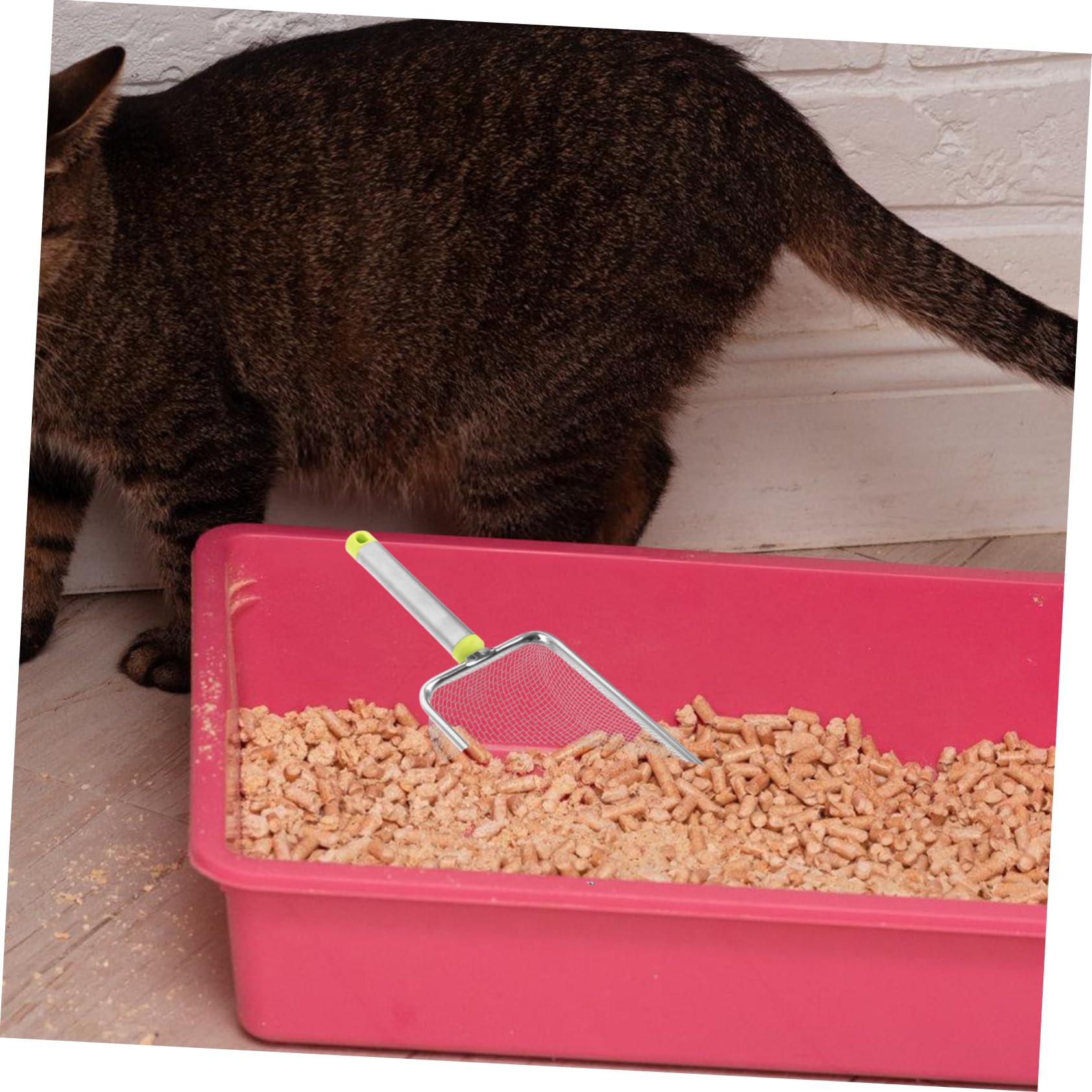 BESPORTBLE 4pezzi Raschiatore per Lettiera Acciaio Inox con Rete Fine per Pulizia Lettiere e Angoli Accessorio per Gatti e Rettili