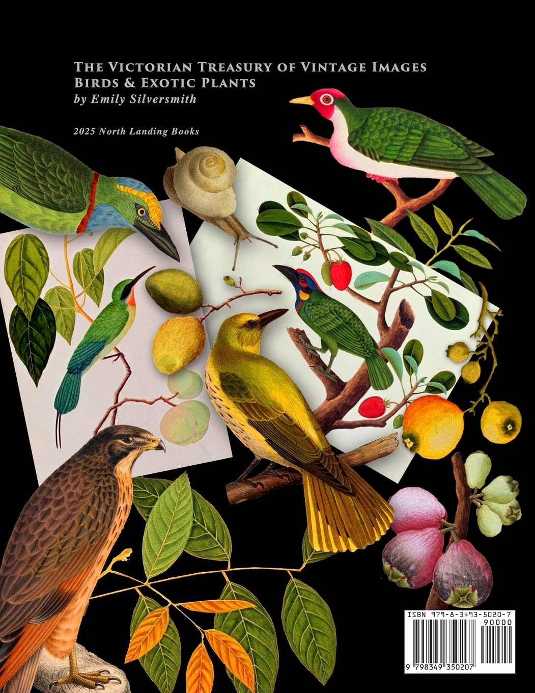 The Victorian Treasury of Vintage Images - Birds and Exotic Plants