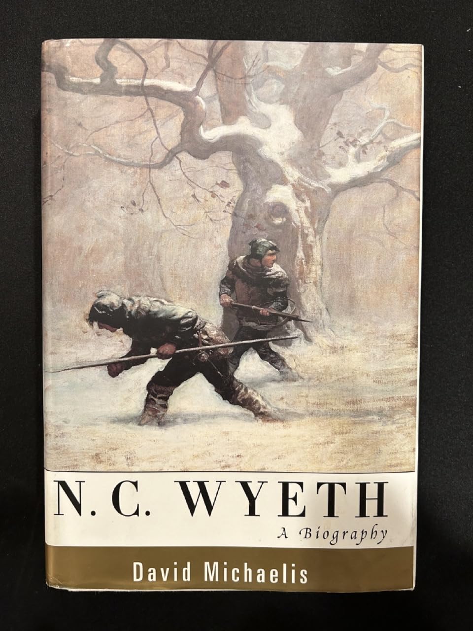 N.C. Wyeth: A Biography : Le cadeau idéal pour les passionnés de peinture et d'histoire