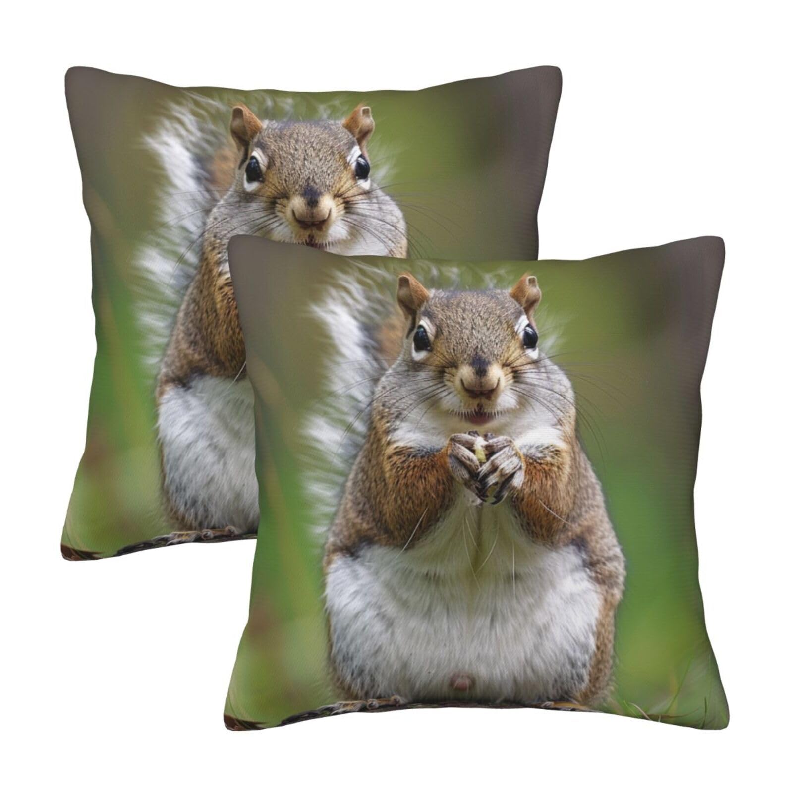 Red Squirrel Throw Pillow Cases 2 Pack Square Pillowcases Soft Pillow Protectors for Couch Livingroom Sofa Bed Office Car,30x30 CM