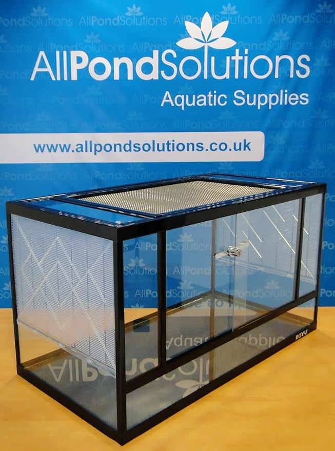all glass vivarium