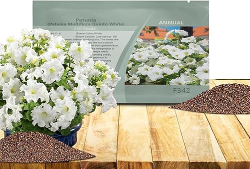 Outsidepride White Multiflora - Semillas de petunia  250 unidades. Semillas anuales, compactas, de flores para plantar, flores vibrantes, ideales