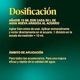 Ver la foto 6