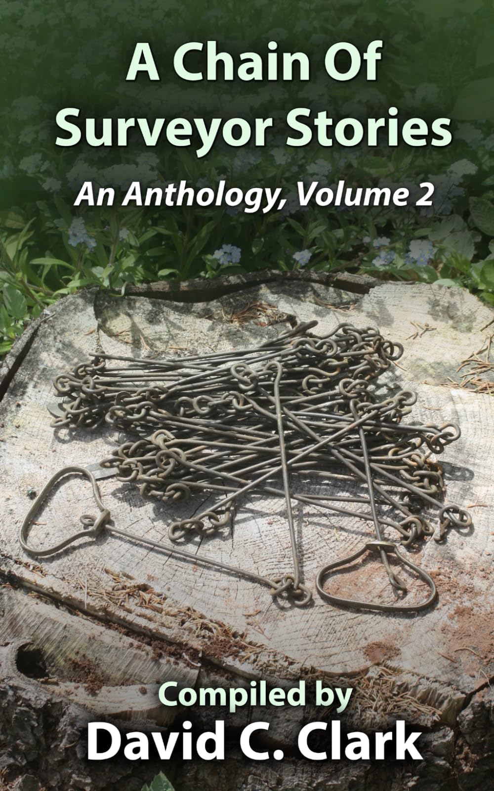 A Chain of Surveyor Stories: An Anthology, Volume 2