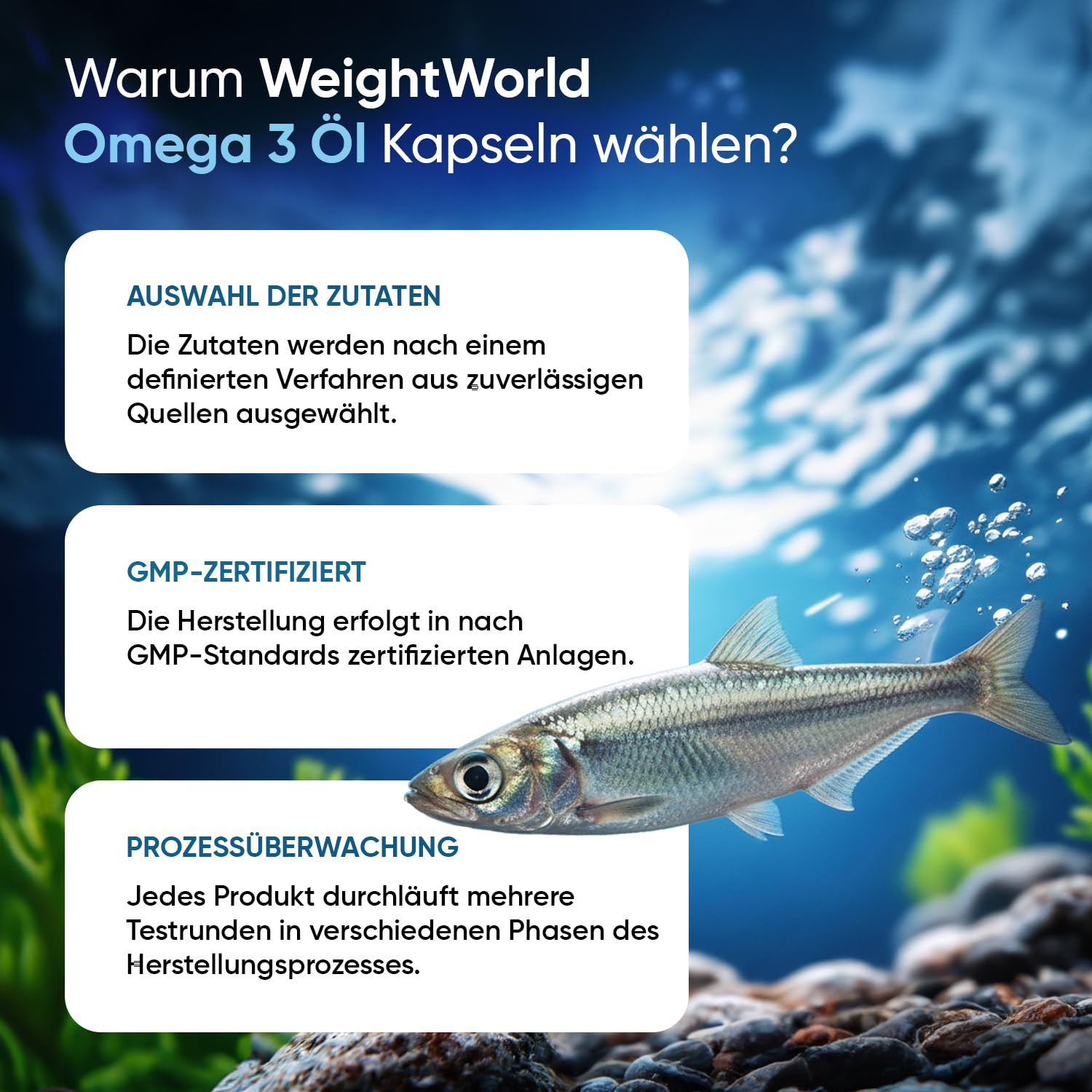 Omega 3 Kapseln - 400 Weichkapseln - 1+ Jahr Vorrat - IFOS Zertifiziert - 1000mg Fischöl pro WeichKapsel - Essentielle Omega 3 Fettsäuren mit EPA 180 mg, DHA 120mg - Fischöl Kapseln - WeightWorld