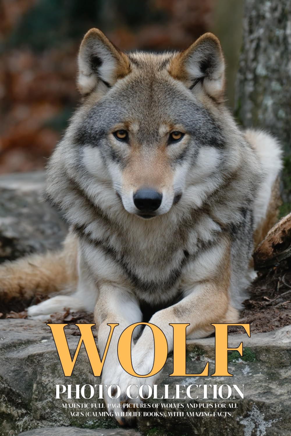Wolf Photo Collection: Majestic Full-Page Pictures of Wolves and Pups for All Ages (Calming Wildlife Books), with Amazing Facts
