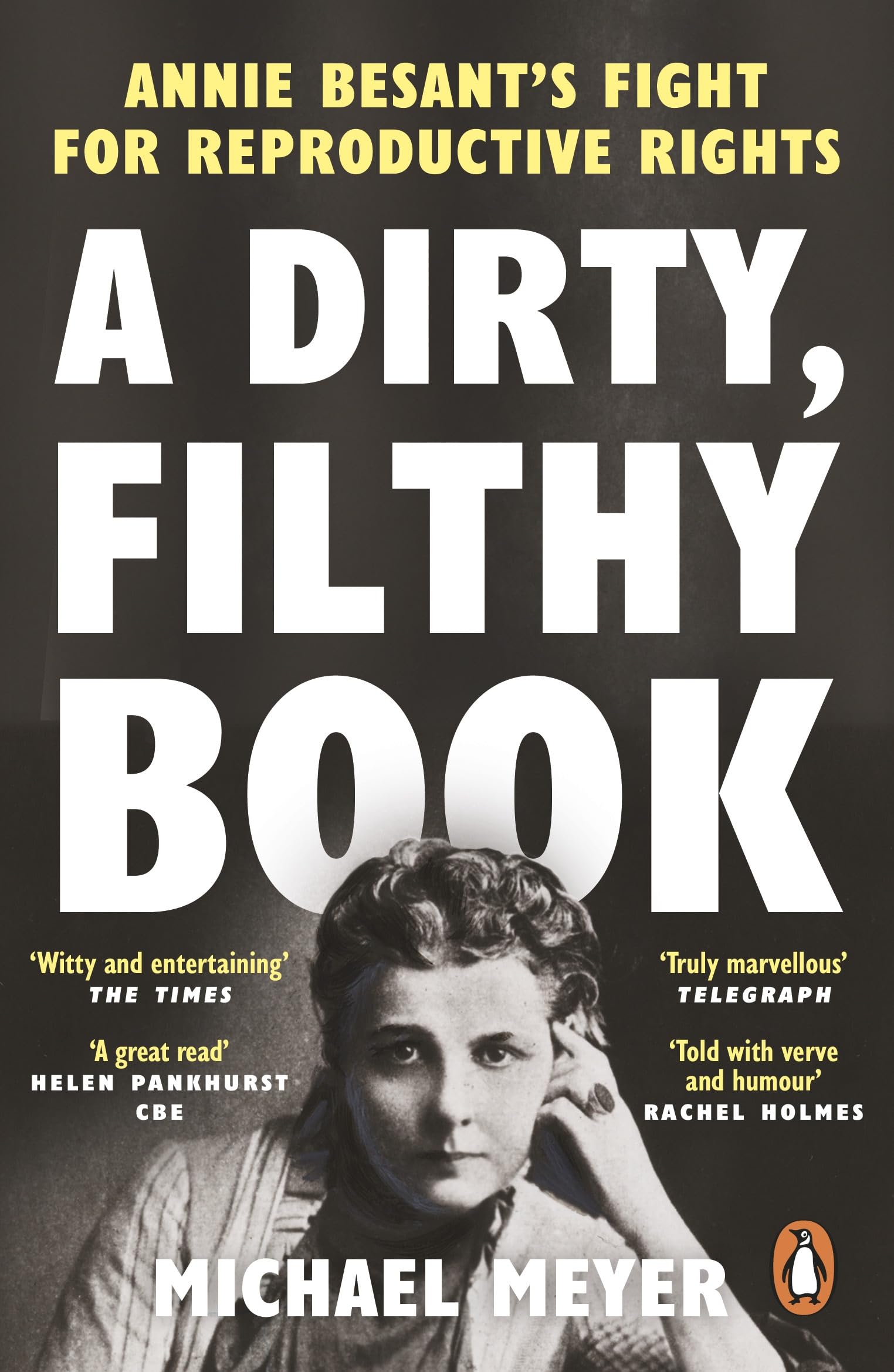 A Dirty, Filthy Book by Michael Meyer (Paperback Book)