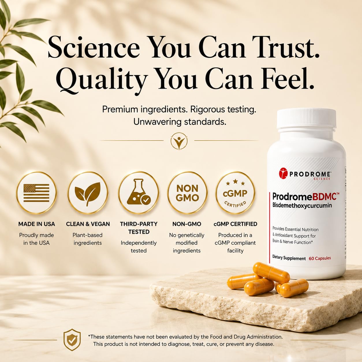 BDMC Curcumin Supplement for Brain, Nerve, Gut & Cellular Support | High BDMC Curcuminoid Formula for Antioxidant Activity, Immune Balance & Healthy Aging | ProdromeBDMC™ | 60 Capsules — Amazon image 6