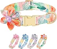 Vista 11 de Beirui Lindos collares para perras con patrones florales vibrantes, collar de perro hembra con flor para caminar, collar ajustable y duradero