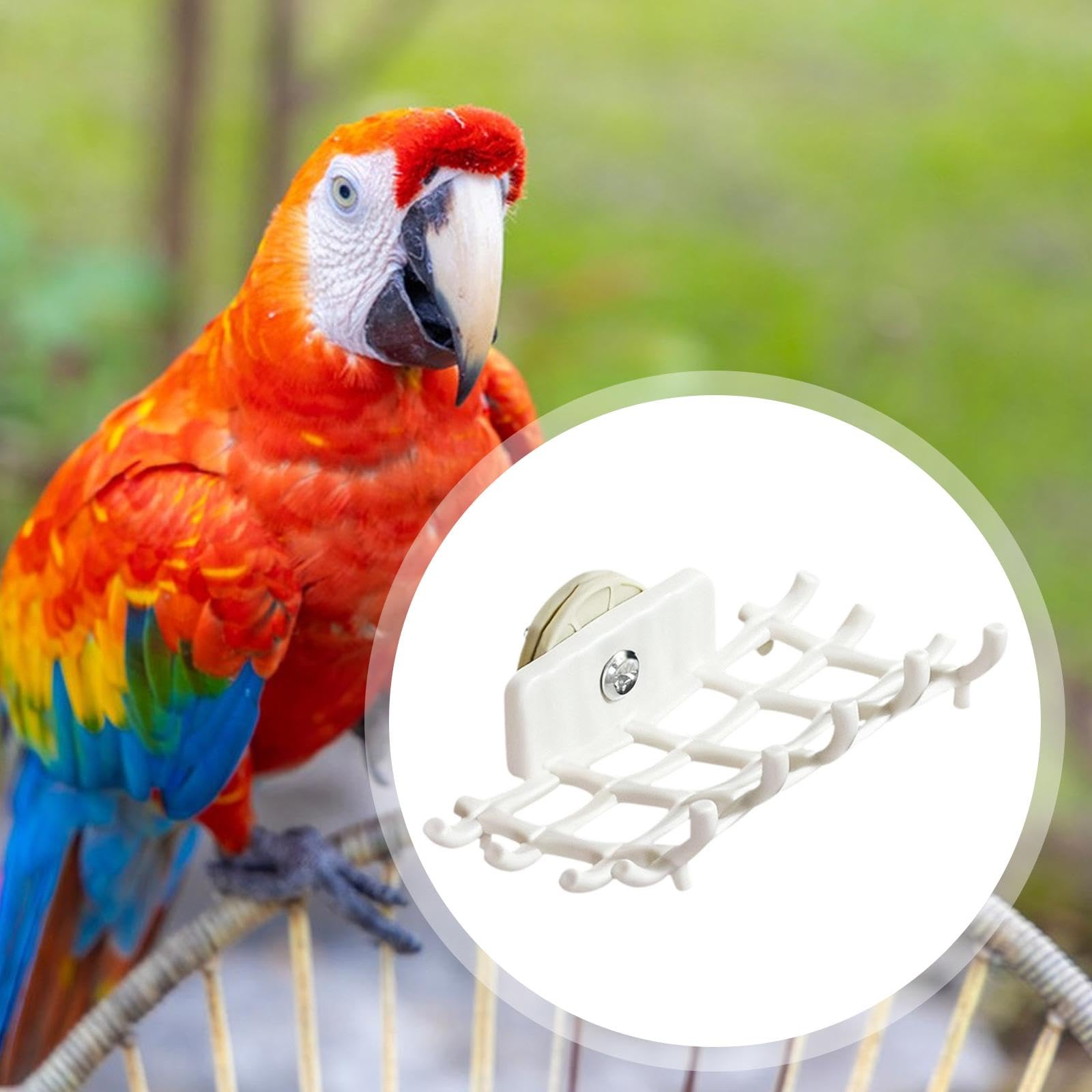 Amazon.co.jp: Fxzqgnh オウムの止まり木 鳥かご プラットフォーム