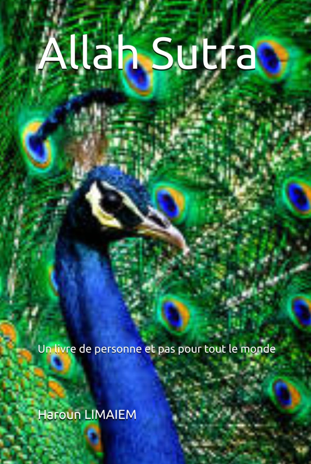 Allah Sutra: Un livre de personne et pas pour tout le monde