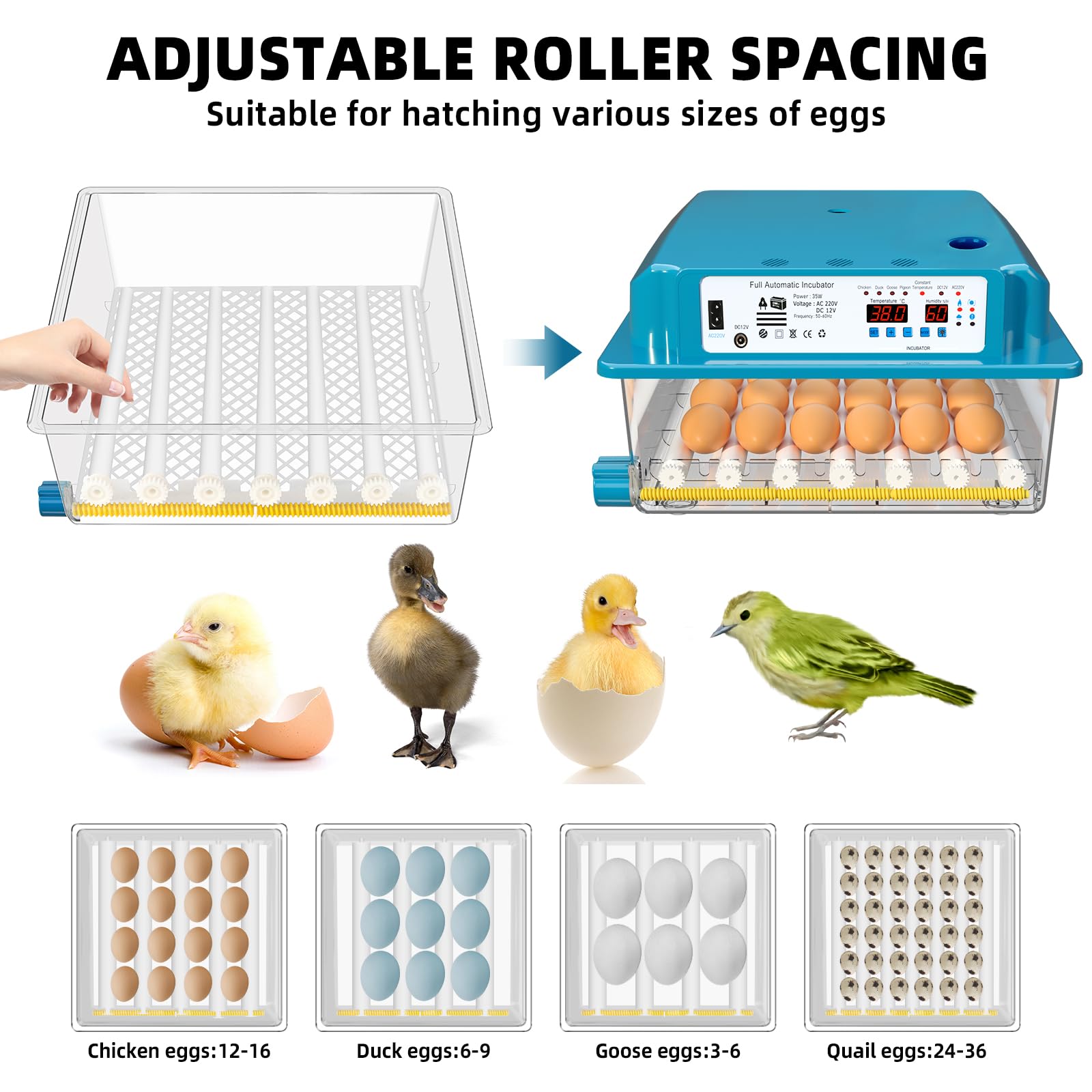 HEKA 11 - Incubatore Completamente Automatico - Incubatore - Incubatore