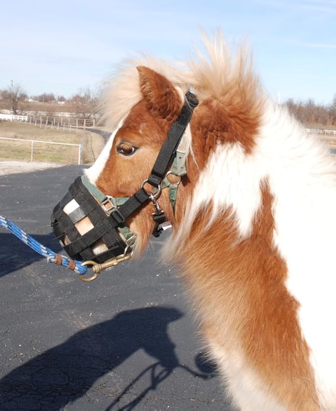 breakaway grazing muzzle