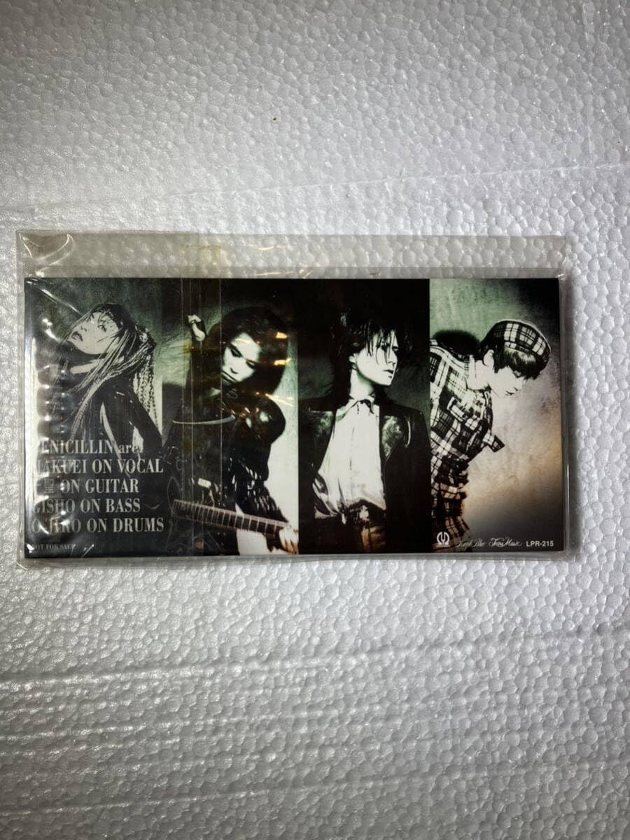 Amazon.co.jp: 入手困難 PENICILLIN（ペニシリン） 1996年 日本武道館