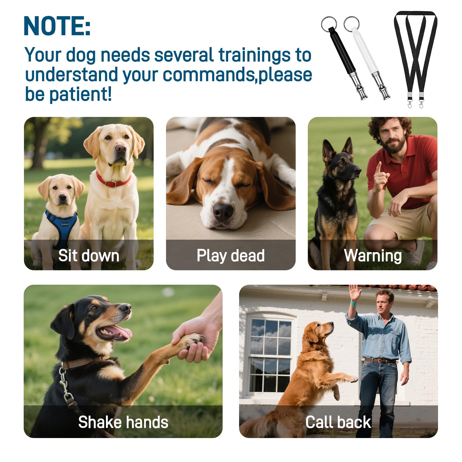 Lot de 2 Sifflet Ultrason Chien Anti Aboiement –Sifflet à Haute Fréquence Silencieux, Aide au Rappel et Éducation Canine