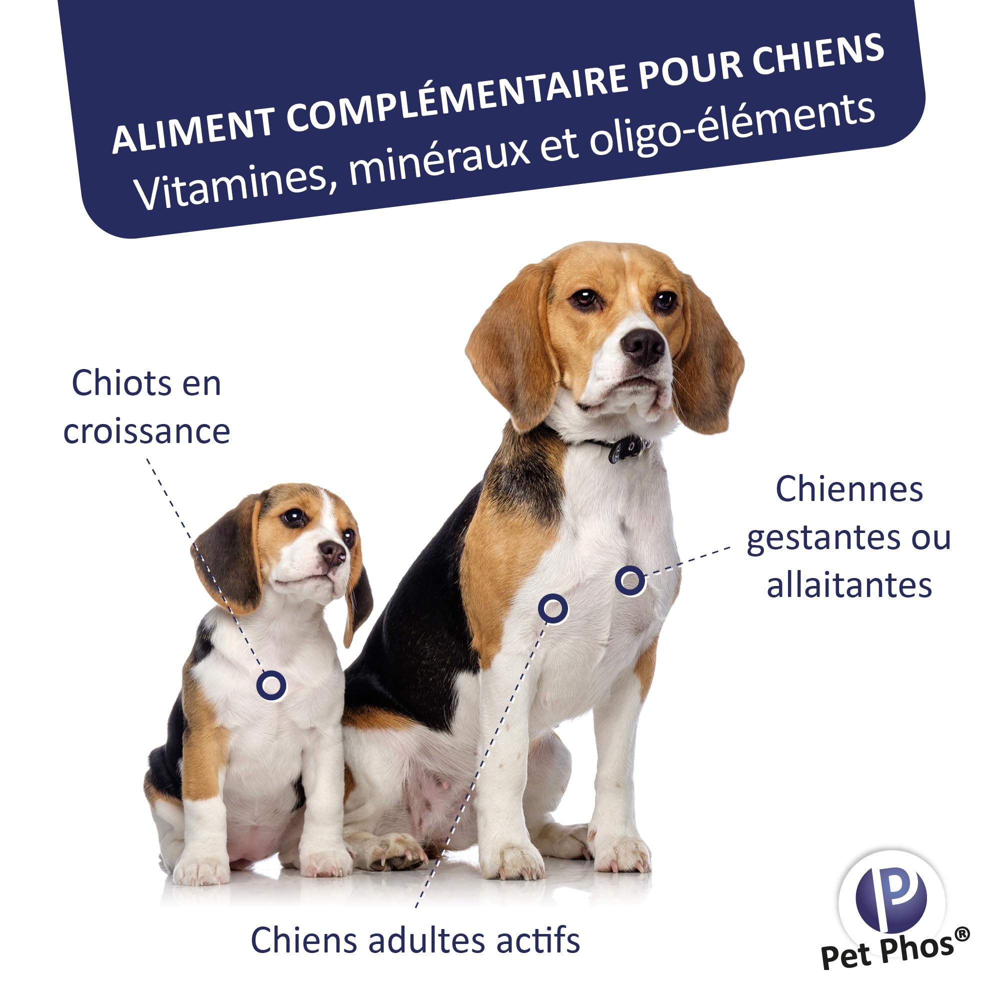 Pet-Phos Canin Croissance Ca/P=2-1 Boite de 100 comprimes complement Croissance