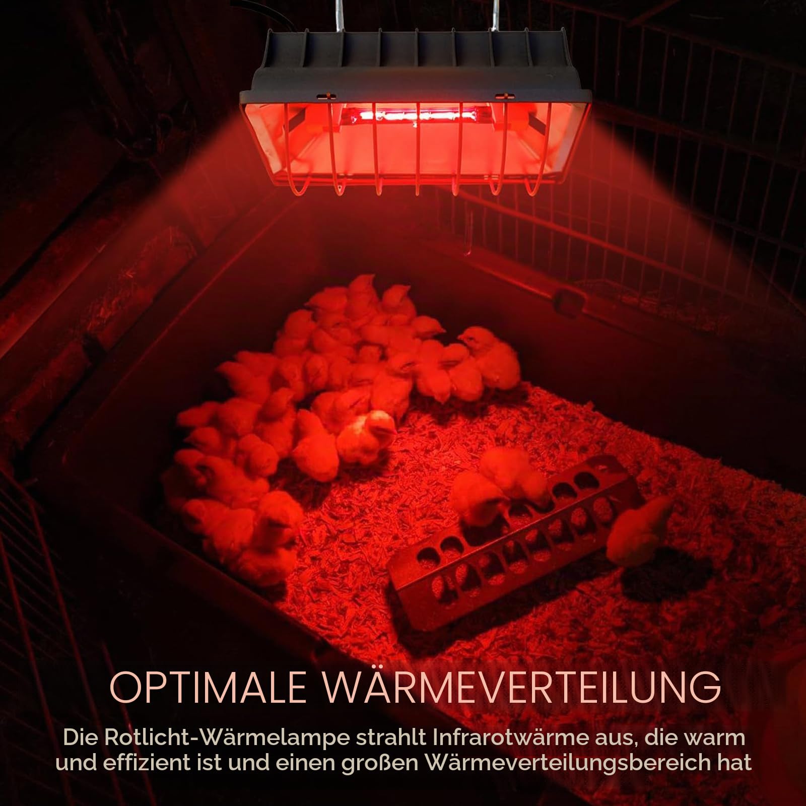 Rotlichtlampe Wärmelampe für Küken, 175 W Wärmelampe für Hühner, Heizlampe Hühnerstall, Heizplatte Lampenwärmer, Automatische Thermostatisch Infrarotlampe für Hühner, Enten, Welpen, Vieh, Ferkel