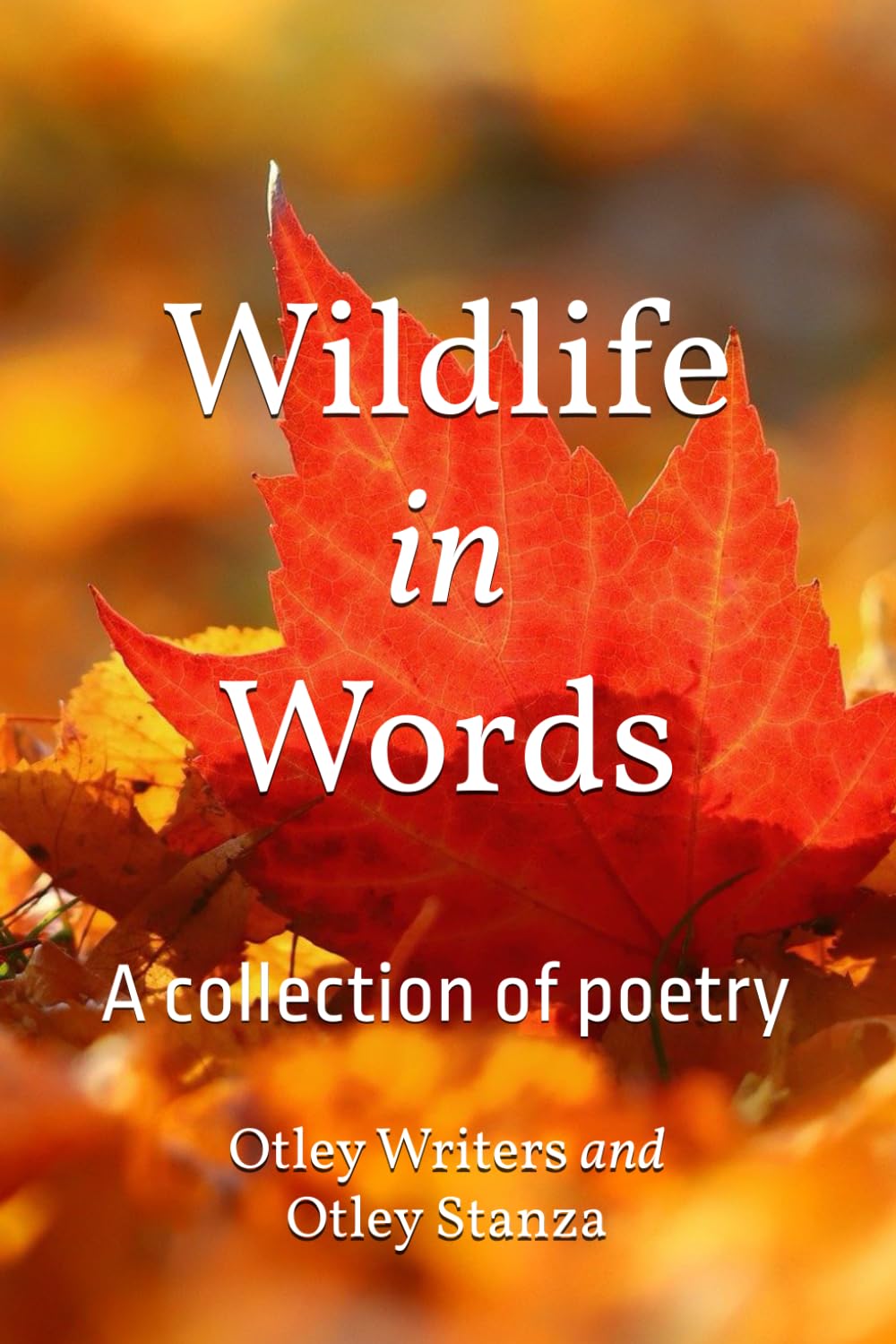 Wildlife in Words: A collection of poetry