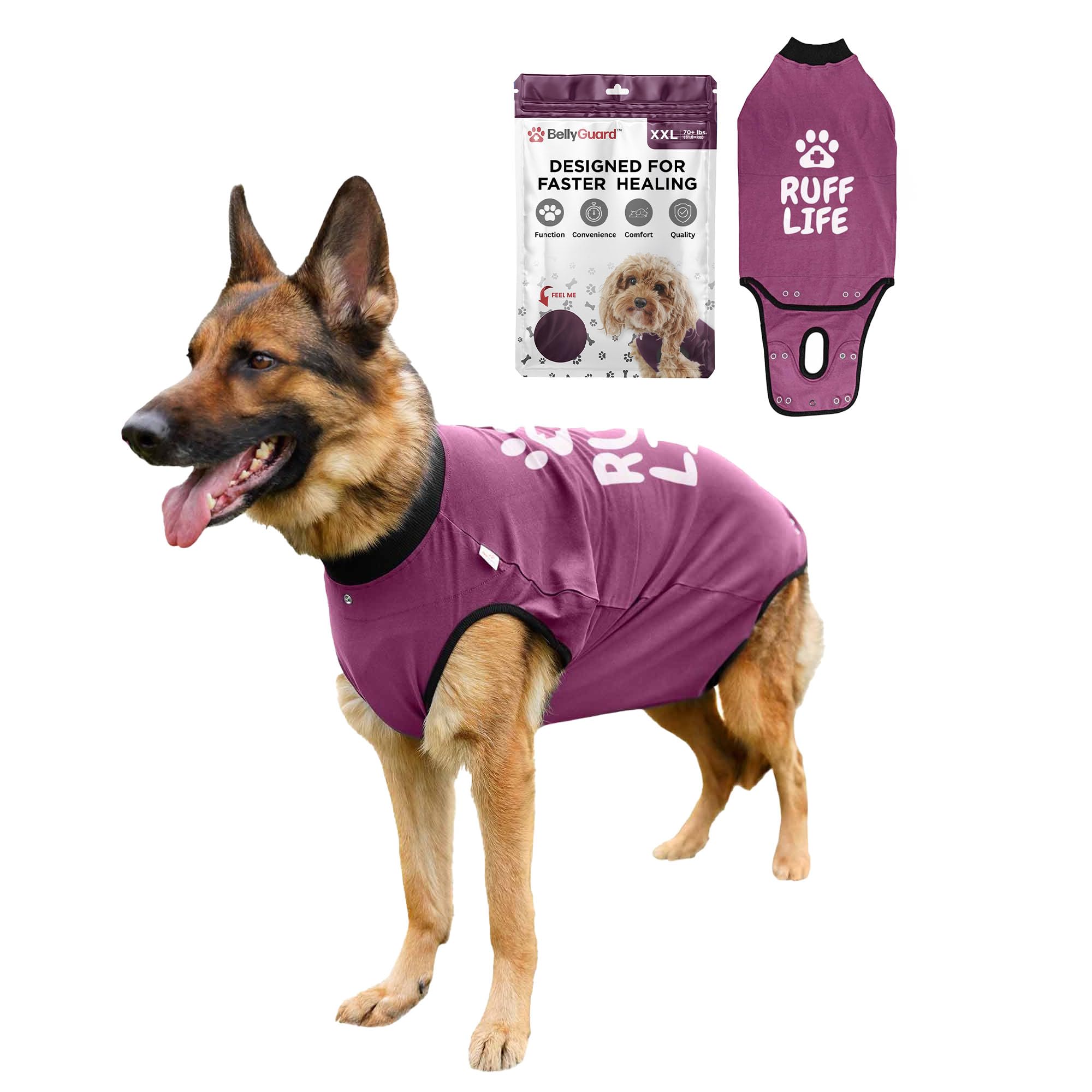 BellyGuard Dog Surgery Recovery Suit, Dog Onesie for Post-Op Care, Recovery Apparel for Female and Male, Surgical Body Cover for Canine Healing
