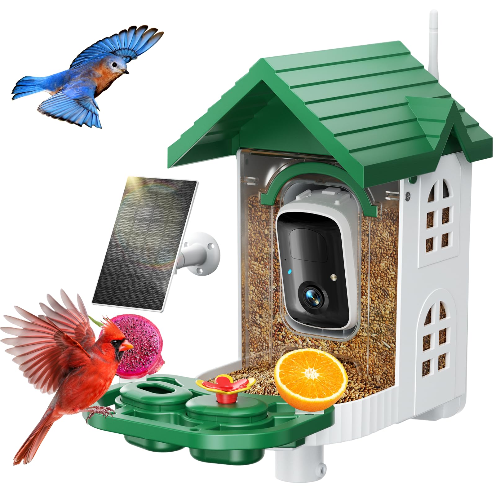SV3C Bird Feeder - feeding and watering supplies pet | Mubboo