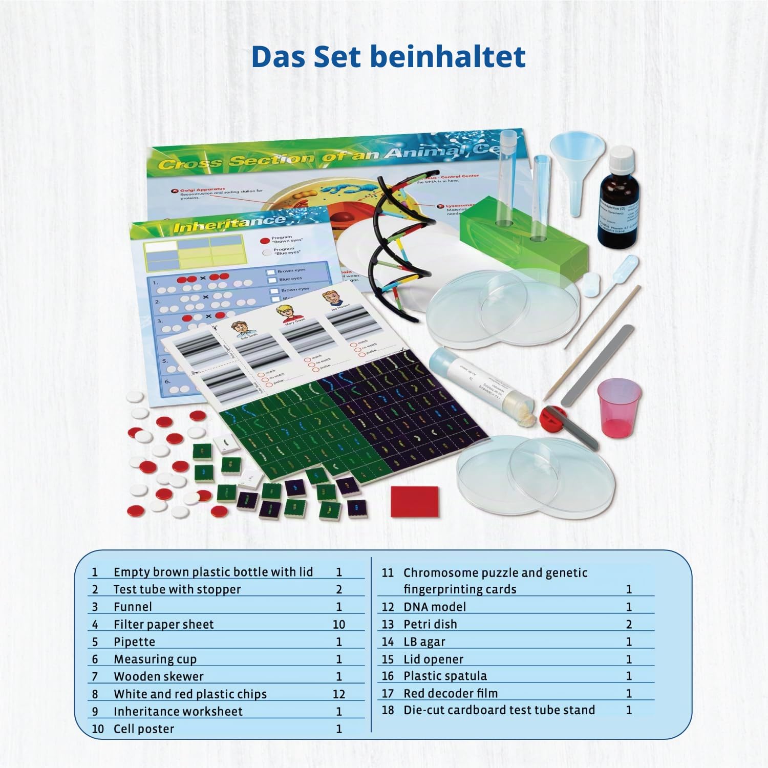 Thames & Kosmos, 665007, Genetics & DNA Lab, Learn About Biological Inheritance, Isolate Plant DNA in A Test Tube, 20 Experiments, Ages 10+