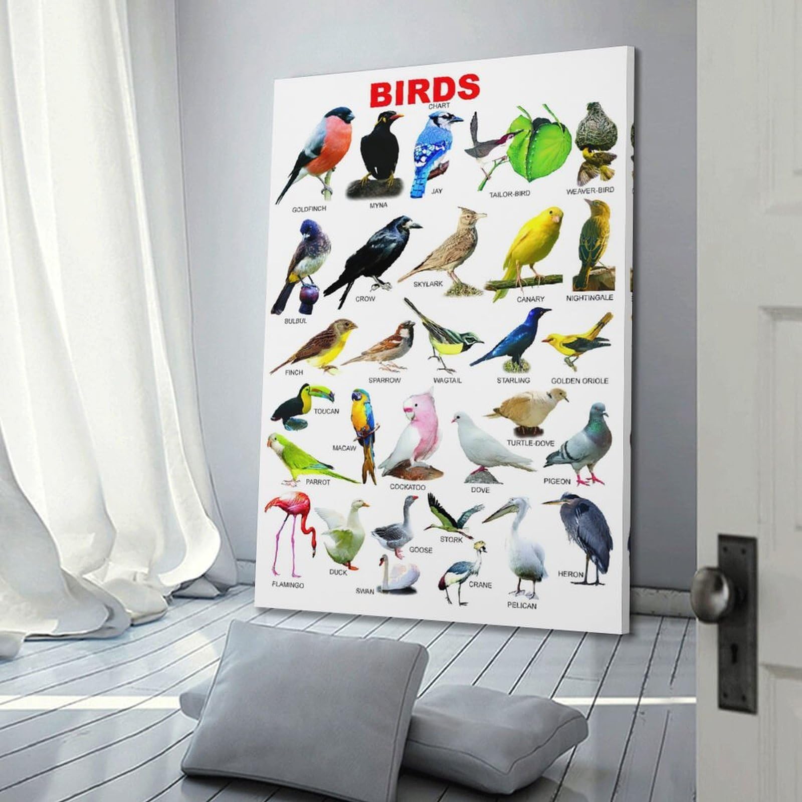 OKNGB Kinder-Zoologie-Pädagogisches Poster, Vogelführer-Poster, dekorative Malerei, Leinwand, Wandposter und Kunstdruck, moderne Familienschlafzimmer-Dekoration, Poster, 50 x 75 cm