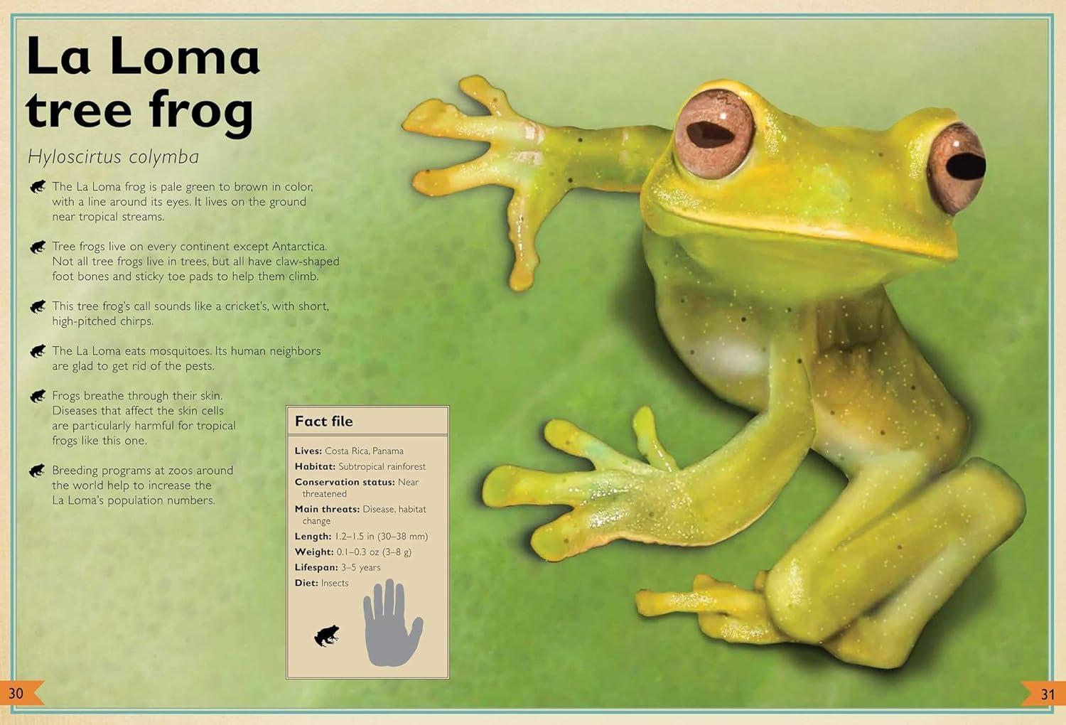 The Magnificent Book of Endangered Animals - Image 5