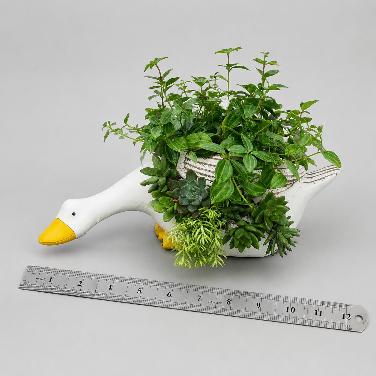 Pflanzgefäß für den Garn, Modell 12