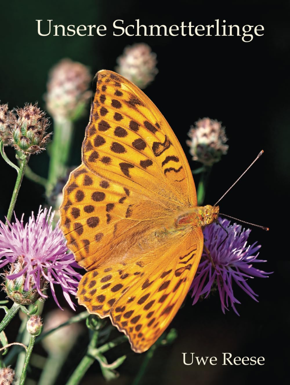 Décoration Unsere Schmetterlinge en acier brossé fait main