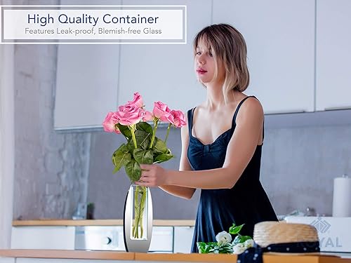 Miniatura 5 de Royal Imports Jarrón de cristal con espejo de flores, ovalado moderno, 5 x 12 pulgadas, decorativo moderno centro de mesa floral para decoración del