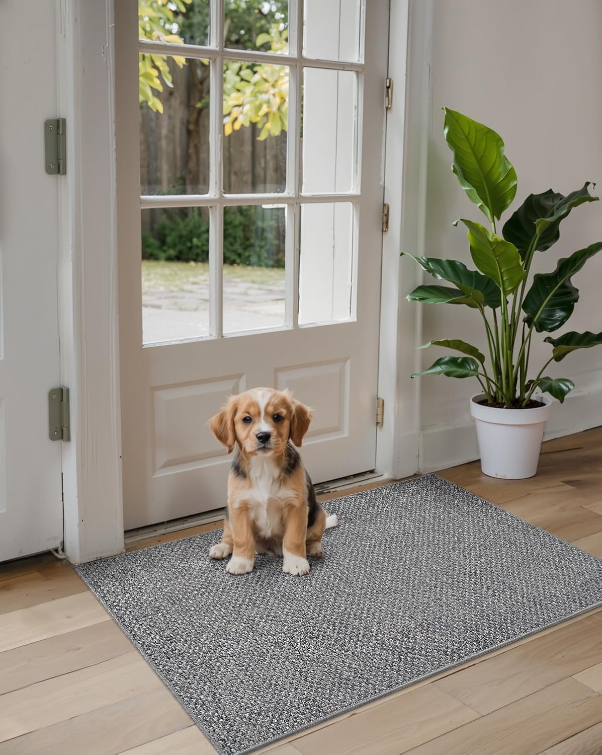 DEXI Ultra Thin Door Mat Indoor Entrance 24x36, Non Slip Rubber Backed Entryway Mats Dirt Trapper, Low Profile Front Doormat for Inside Entry, Patio, Porch, Grey - Image 9