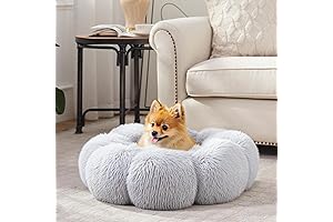 Moochpaws Calming Dog Bed: The Perfect Sanctuary for Your Furry Friend