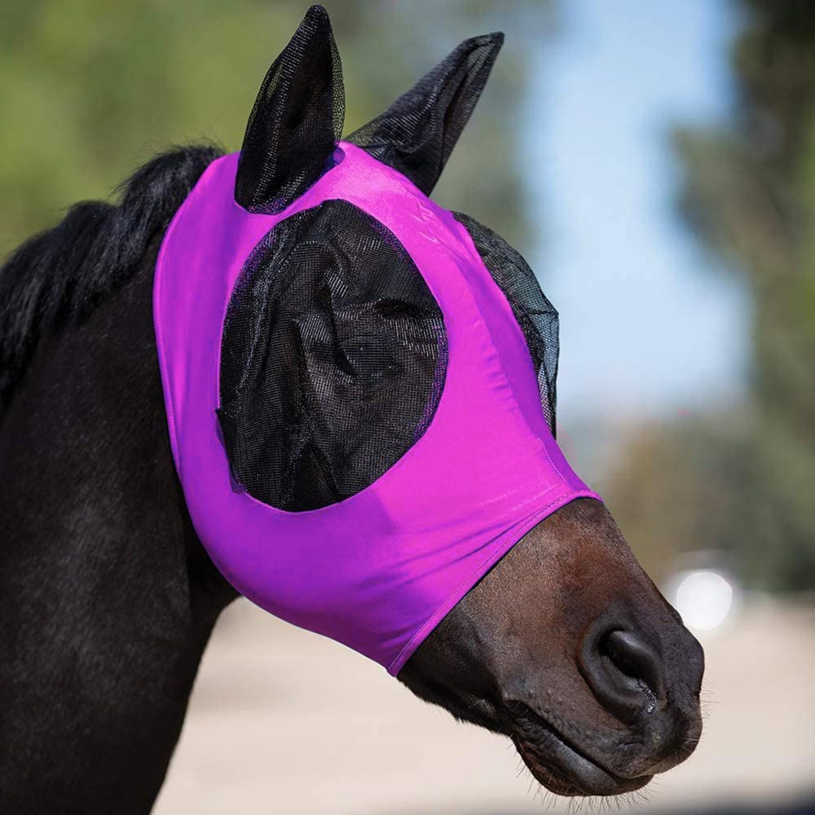 Protection contre les mouches en maille pour cheval rose avec cache-oreilles élastique 3D