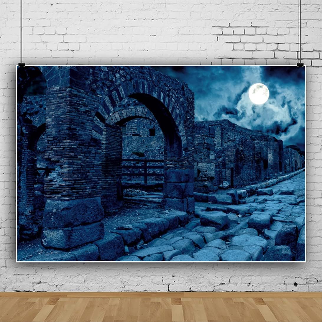 Renaiss 7x5ft Halloween Backdrop Ancient Ruins Stone Town Dark Night Full Moon Horror Photography Background Vintage Punk Gothic Medieval Buildings Photo Video Studio Props Party Supplies Decor Vinyl