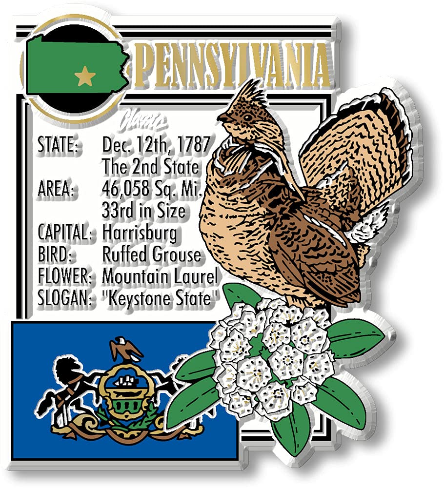 Aimant de l'Histoire Pennsylvania puissant pour retenir vos papiers sur le frigo