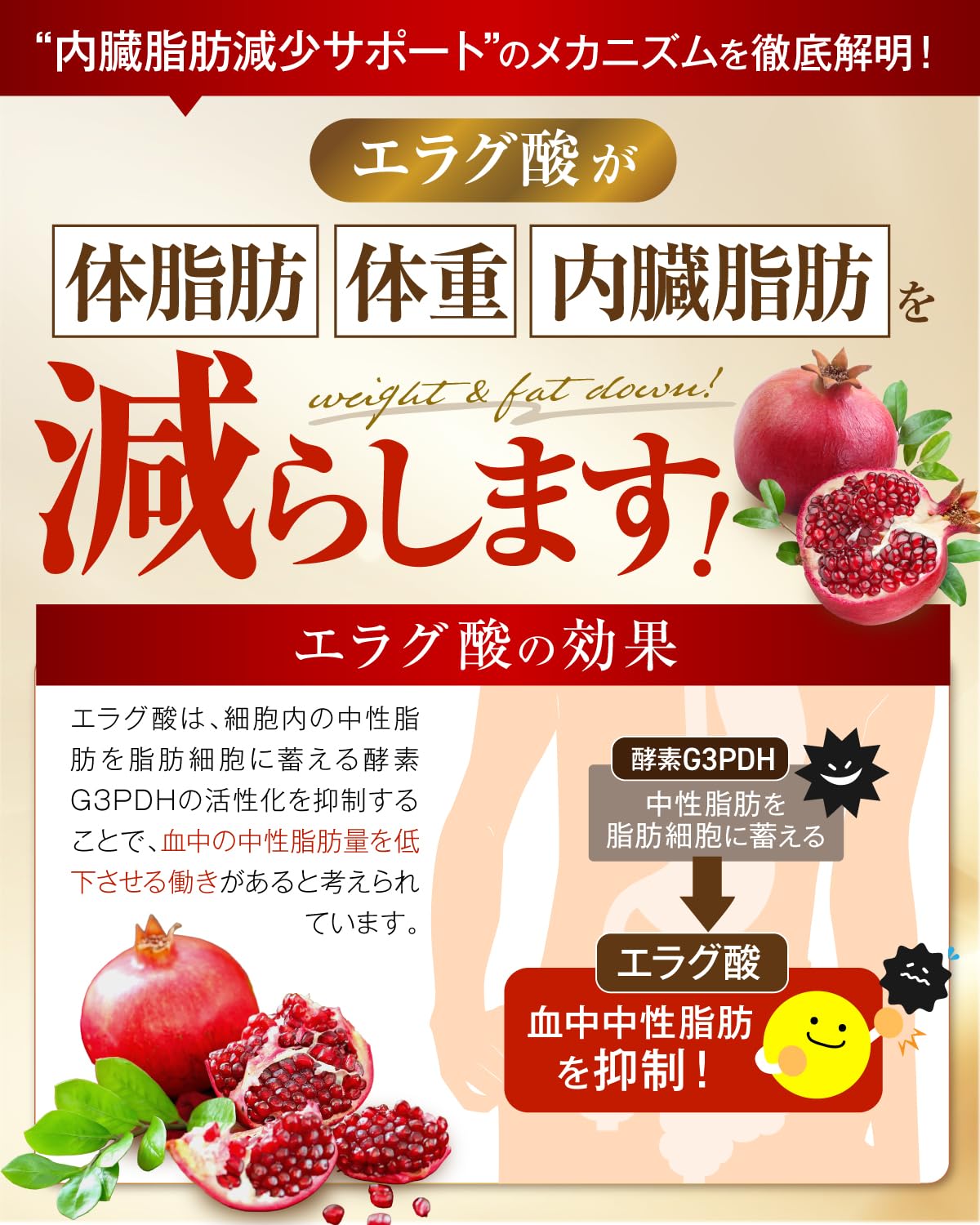 Amazon.co.jp: 【医師監修】 尿酸値・体脂肪のWケア 尿酸値を下げる 体