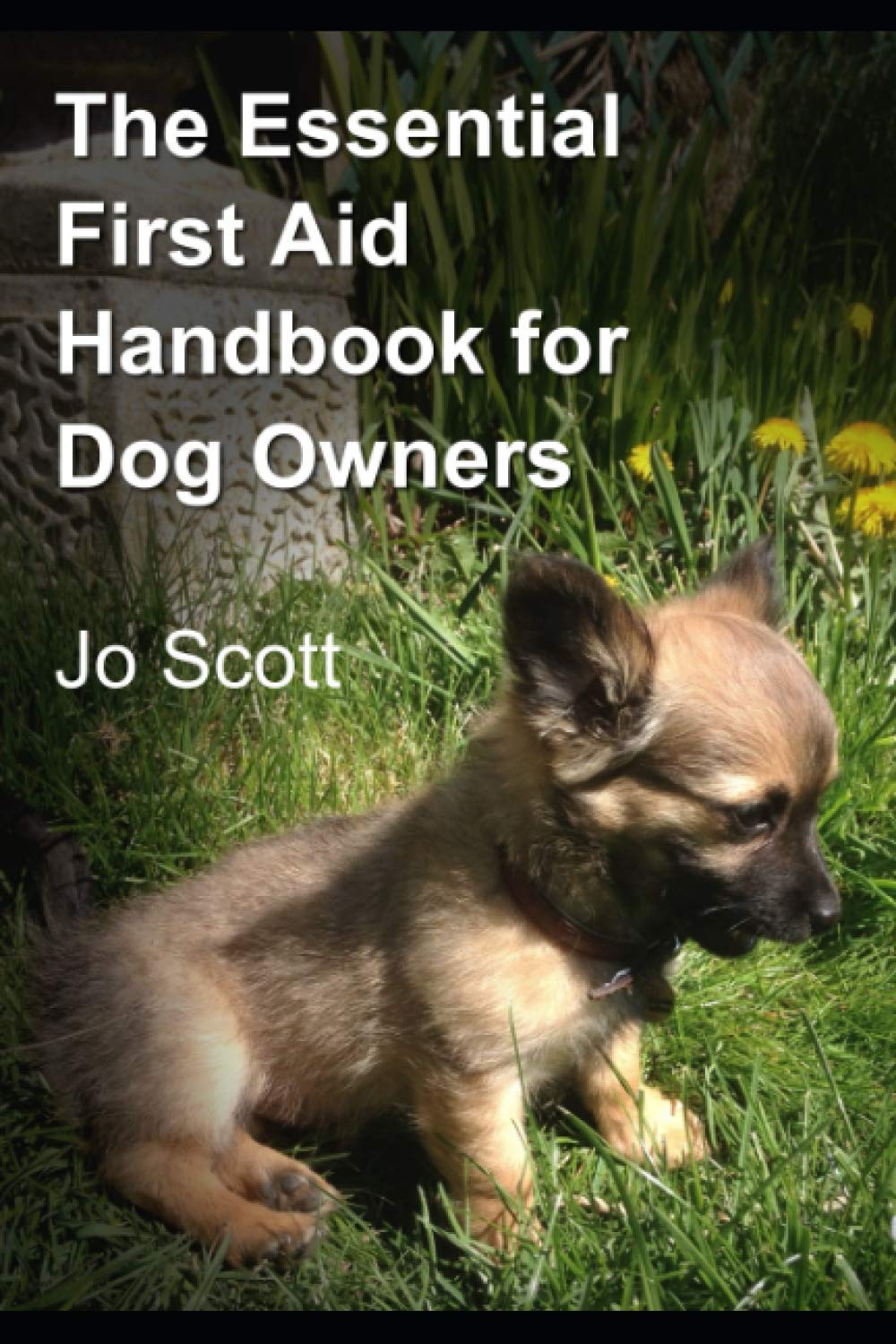 The Essential First Aid Handbook for Dog Owners