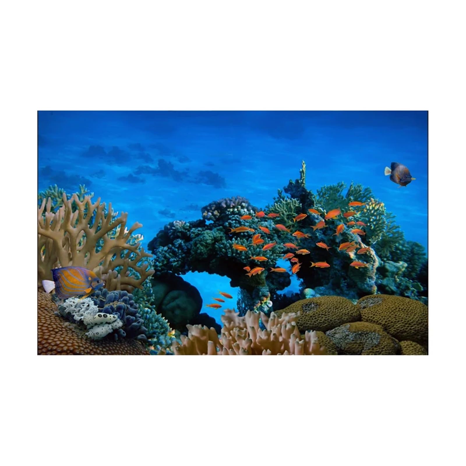 Poster Aquarium Autocollant de Fond d'aquarium, Affiche Corail sous-Marin Bleu, décoration, Papier Peint Autocollant, arrière-Plan(54x122cm)