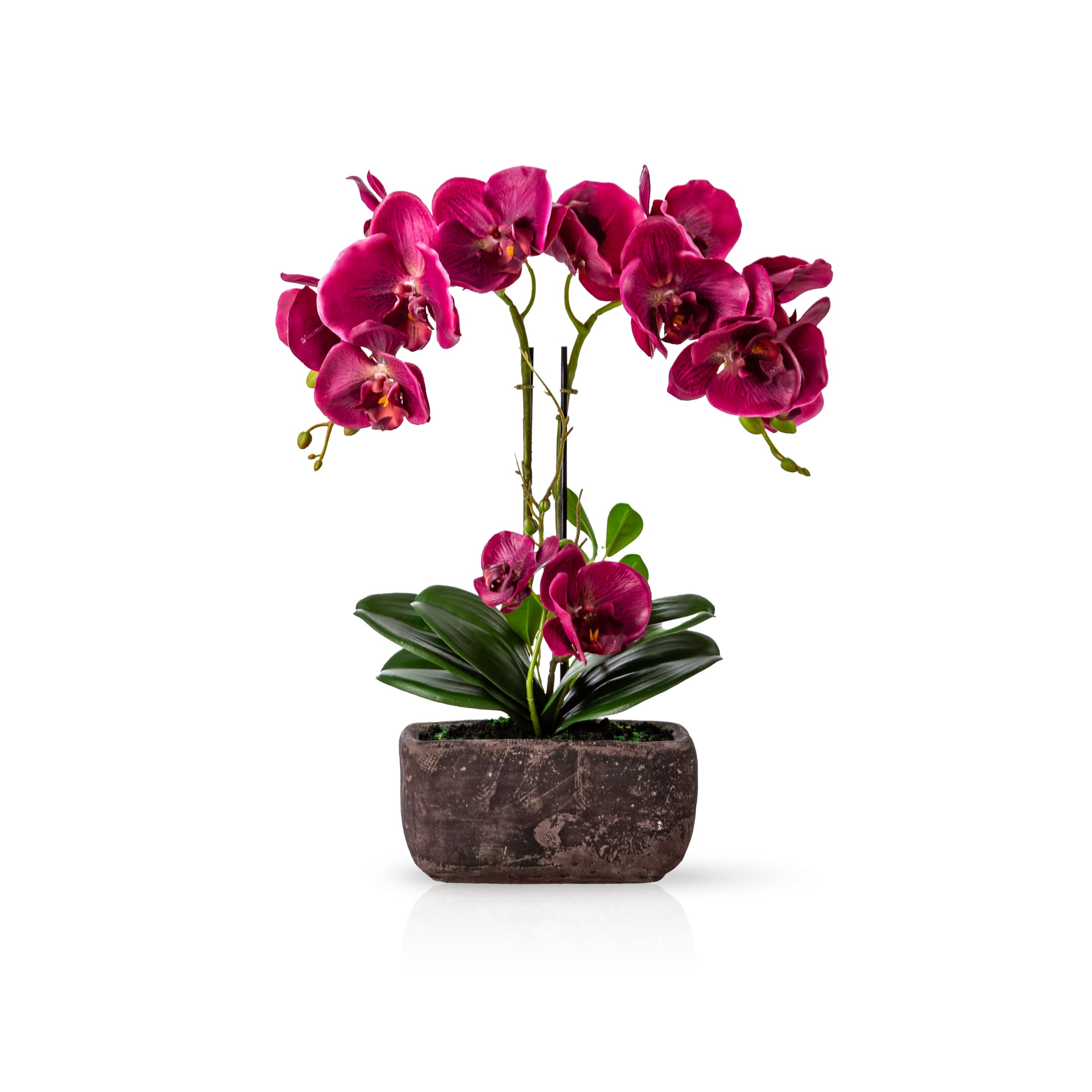 PASCH® Orchidées artificielles dans un pot Urban Stone (40 cm) - Fleurs artificielles au toucher réel dans un pot - Fleurs artificielles réalistes comme de vraies - Orchidées artificielles en pot